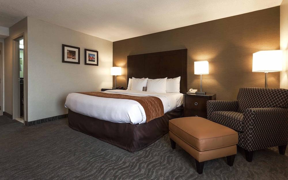 Best Western Chicago - Downers Grove Esterno foto