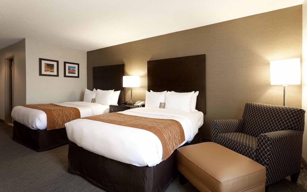 Best Western Chicago - Downers Grove Esterno foto